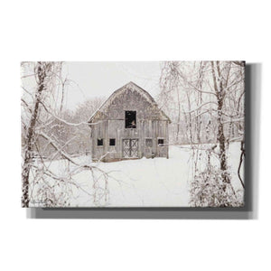 'The New Tenant' by Lori Deiter, Canvas Wall Art,Size A Landscape