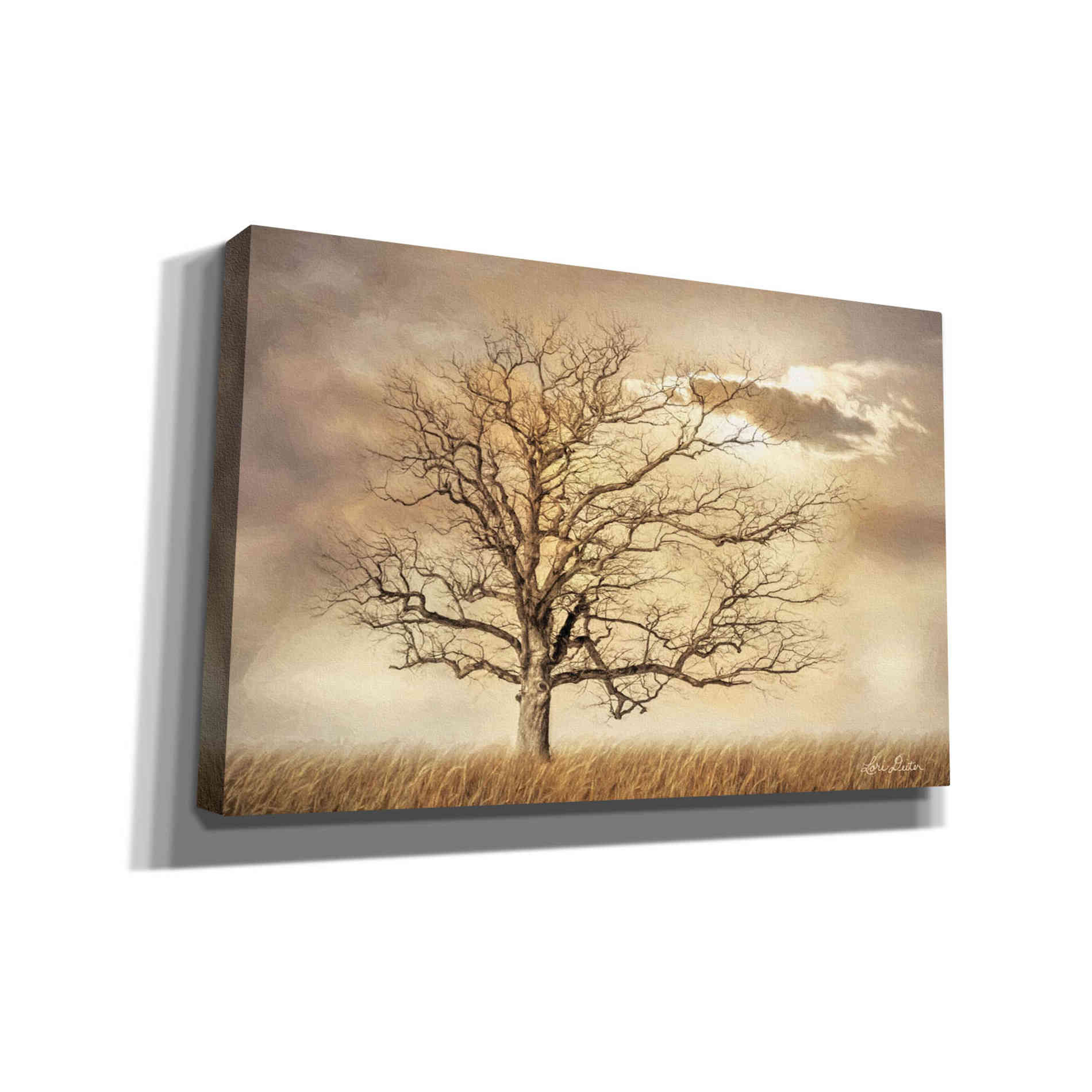 'Golden Tree' by Lori Deiter, Canvas Wall Art,Size A Landscape