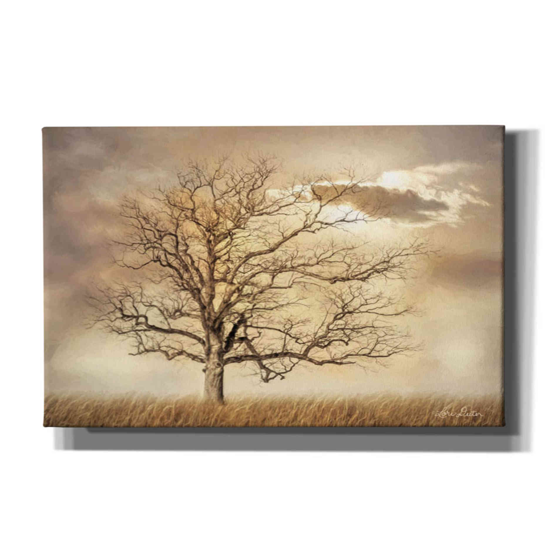 'Golden Tree' by Lori Deiter, Canvas Wall Art,Size A Landscape