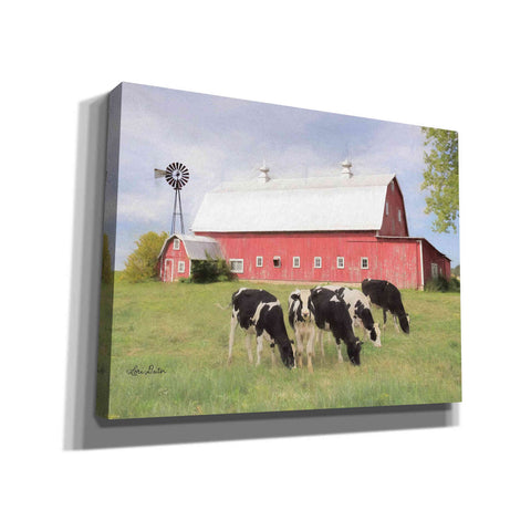 Image of 'Henderson Cows' by Lori Deiter, Canvas Wall Art,Size B Landscape