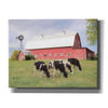 'Henderson Cows' by Lori Deiter, Canvas Wall Art,Size B Landscape