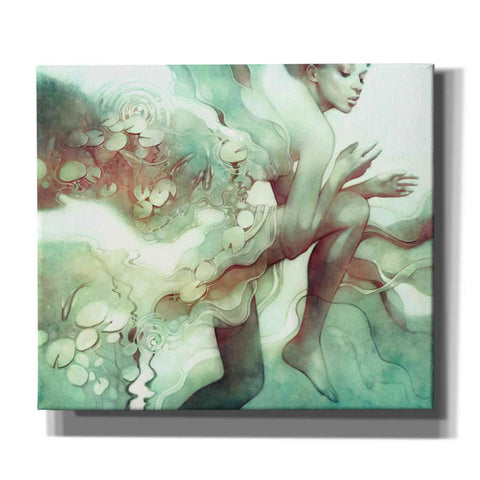 Image of 'Flood' by Anna Dittman, Canvas Wall Art,Size C Landscape