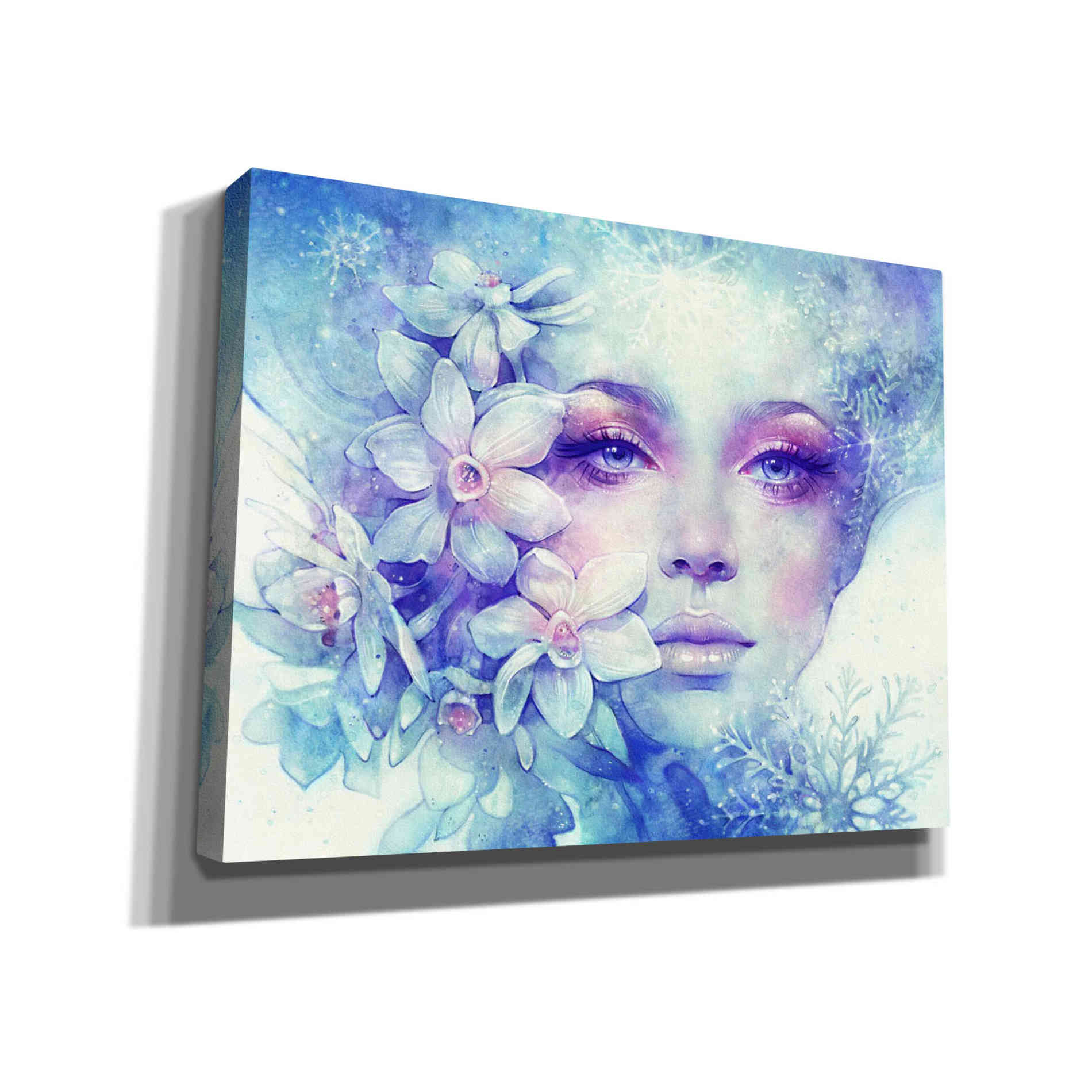 'December' by Anna Dittman, Canvas Wall Art,Size B Landscape
