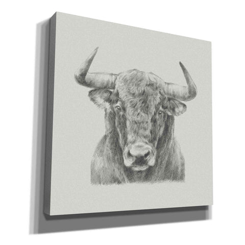 Image of 'Black and White Bull' by Ethan Harper, Canvas Wall Art,Size 1 Square