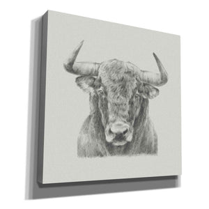 'Black and White Bull' by Ethan Harper, Canvas Wall Art,Size 1 Square