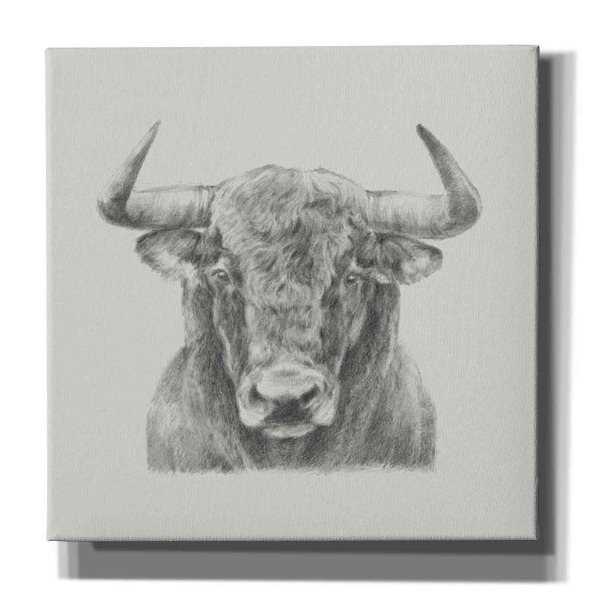 'Black and White Bull' by Ethan Harper, Canvas Wall Art,Size 1 Square