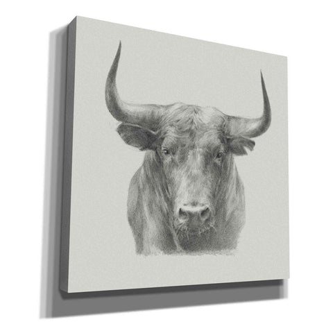 Image of 'Black Bull' by Ethan Harper, Canvas Wall Art,Size 1 Square
