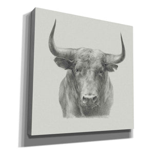 'Black Bull' by Ethan Harper, Canvas Wall Art,Size 1 Square