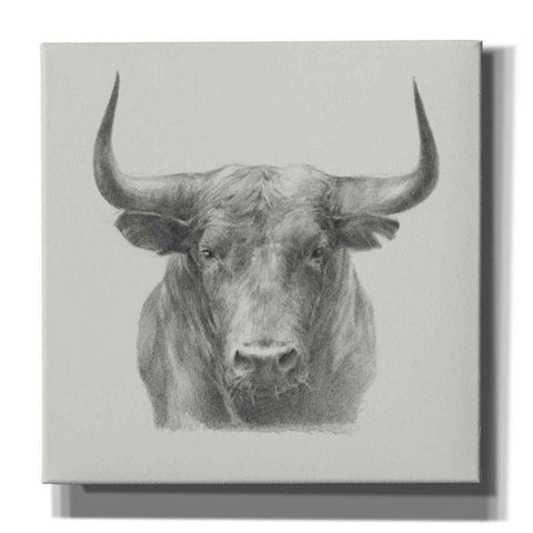 Image of 'Black Bull' by Ethan Harper, Canvas Wall Art,Size 1 Square