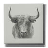 'Black Bull' by Ethan Harper, Canvas Wall Art,Size 1 Square