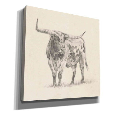 Image of 'Longhorn Steer Sketch II' by Ethan Harper, Canvas Wall Art,Size 1 Square