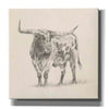 'Longhorn Steer Sketch II' by Ethan Harper, Canvas Wall Art,Size 1 Square