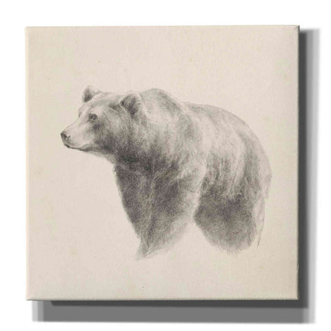 Image of 'Western Bear Study' by Ethan Harper, Canvas Wall Art,Size 1 Square