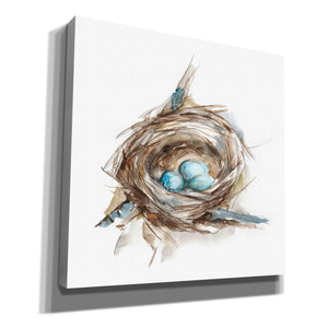 'Bird Nest Study II' by Ethan Harper, Canvas Wall Art,Size 1 Square