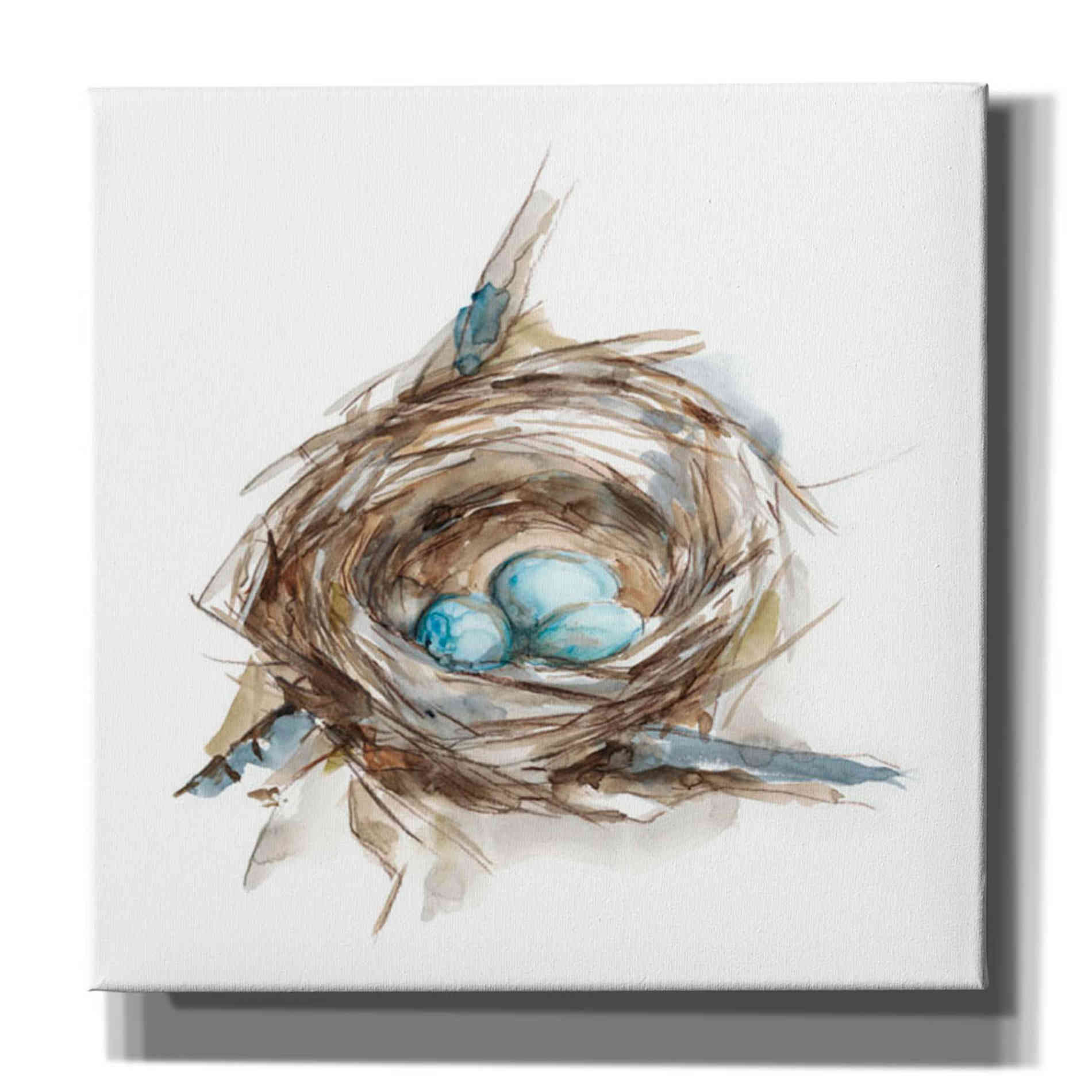 'Bird Nest Study II' by Ethan Harper, Canvas Wall Art,Size 1 Square
