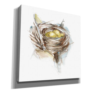'Bird Nest Study III' by Ethan Harper, Canvas Wall Art,Size 1 Square