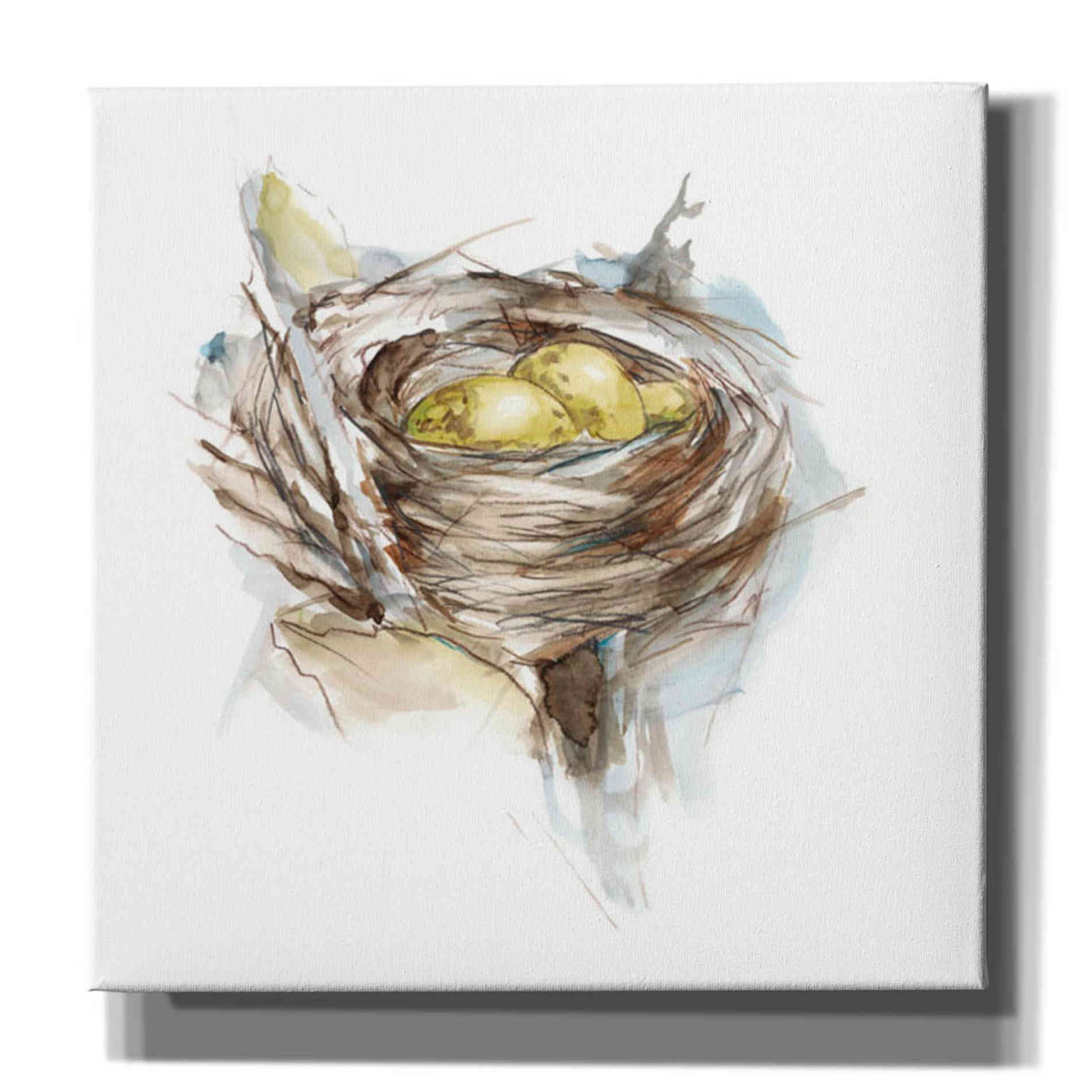 'Bird Nest Study III' by Ethan Harper, Canvas Wall Art,Size 1 Square