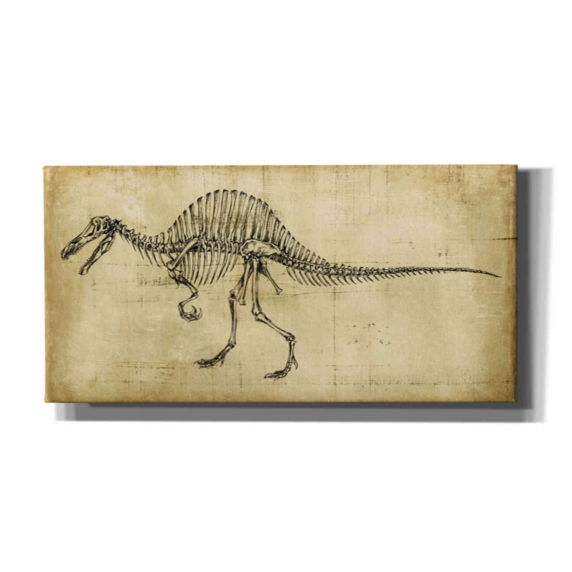 'Spinosaurus Study' by Ethan Harper Canvas Wall Art,Size 2 Landscape