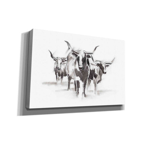 Image of 'Contemporary Cattle I' by Ethan Harper Canvas Wall Art,Size A Landscape