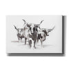 'Contemporary Cattle I' by Ethan Harper Canvas Wall Art,Size A Landscape