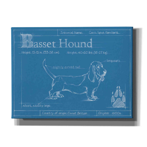 Image of 'Blueprint Basset Hound' by Ethan Harper Canvas Wall Art,Size B Landscape