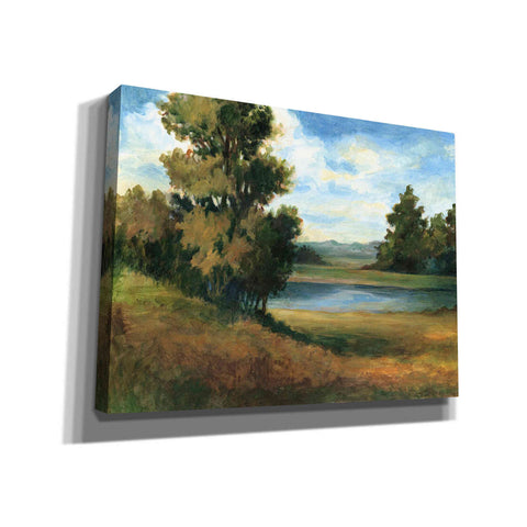 Image of 'Auburn Meadow' by Ethan Harper Canvas Wall Art,Size B Landscape