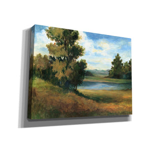 'Auburn Meadow' by Ethan Harper Canvas Wall Art,Size B Landscape