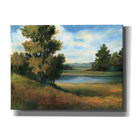 Image of 'Auburn Meadow' by Ethan Harper Canvas Wall Art,Size B Landscape