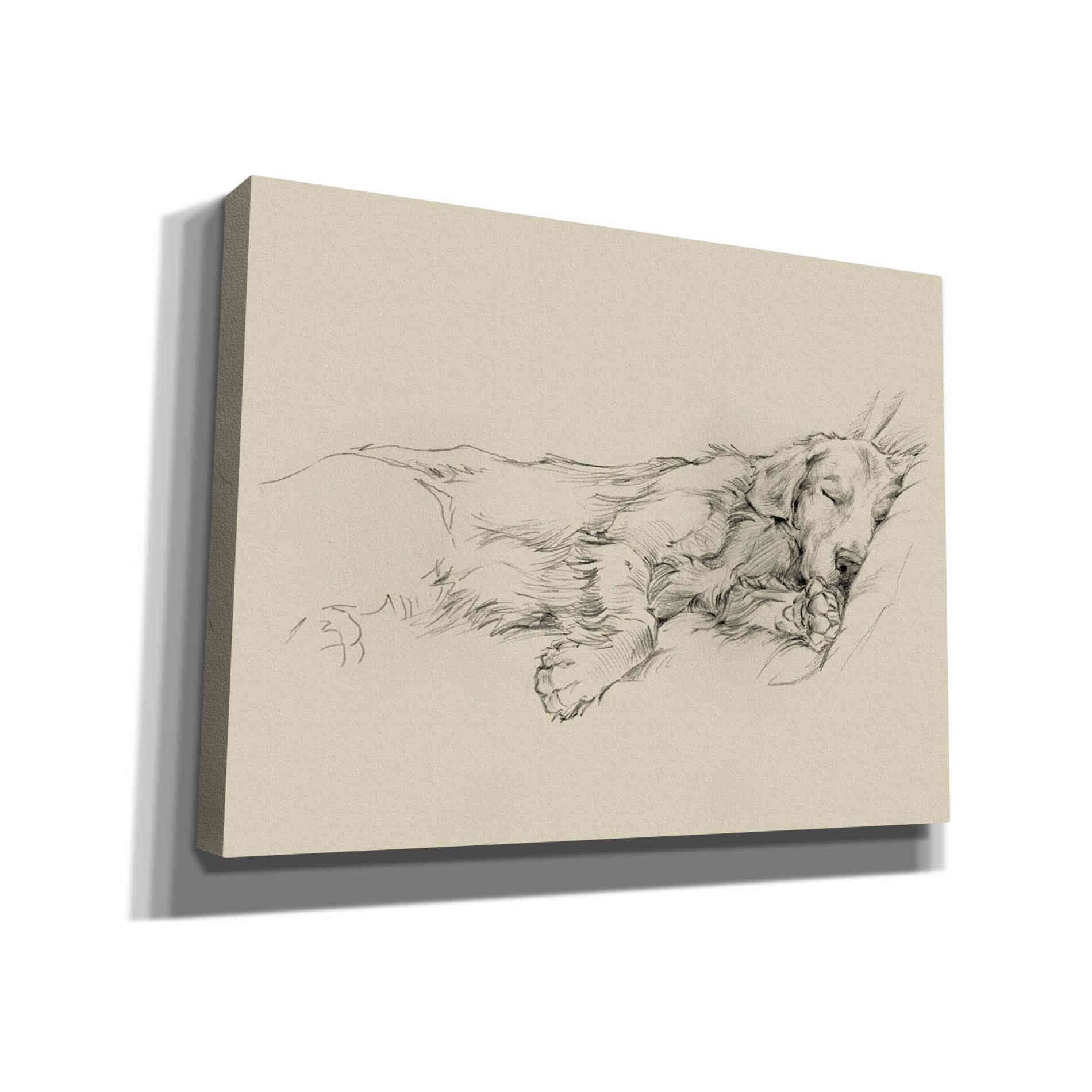 'Dog Days III' by Ethan Harper Canvas Wall Art,Size B Landscape