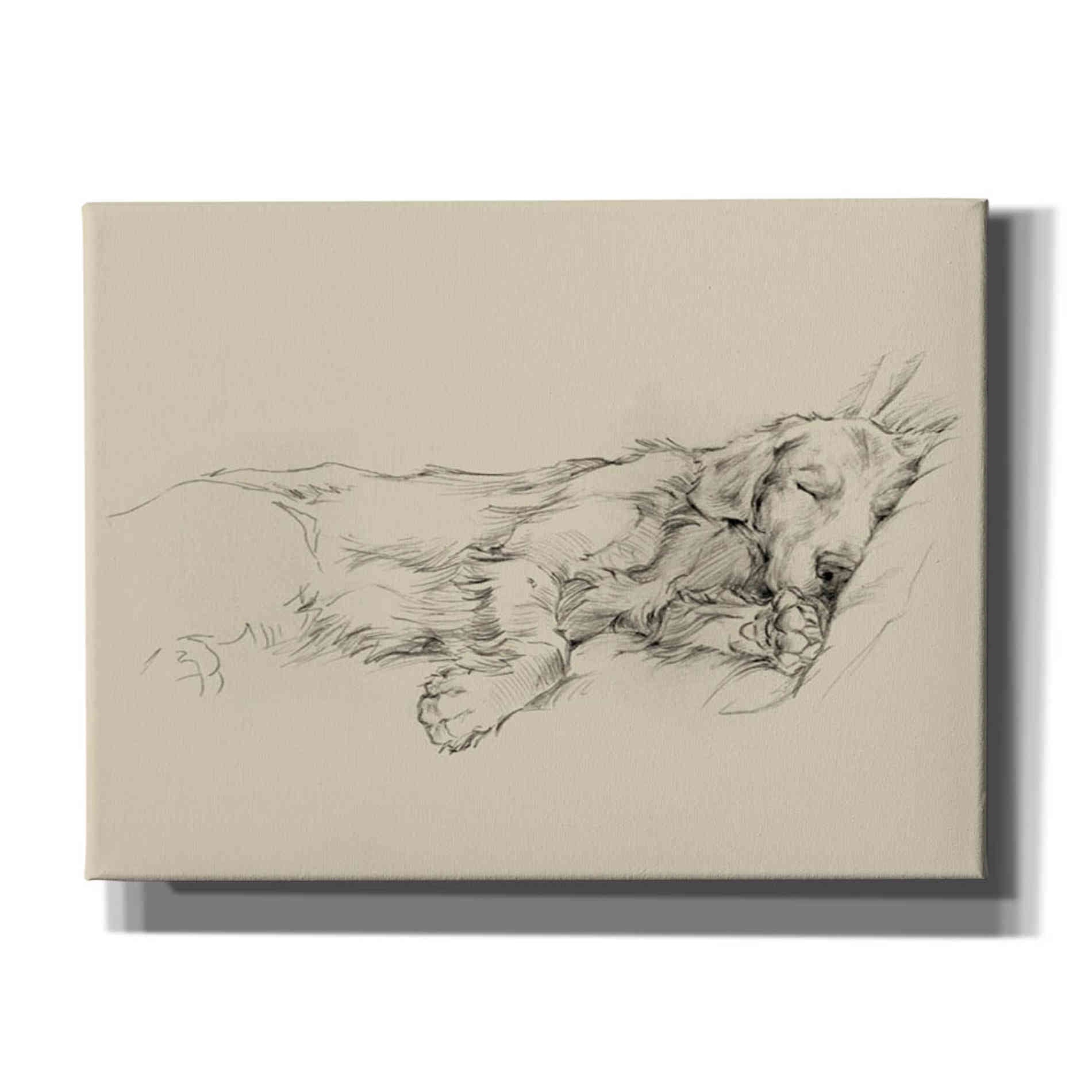 'Dog Days III' by Ethan Harper Canvas Wall Art,Size B Landscape