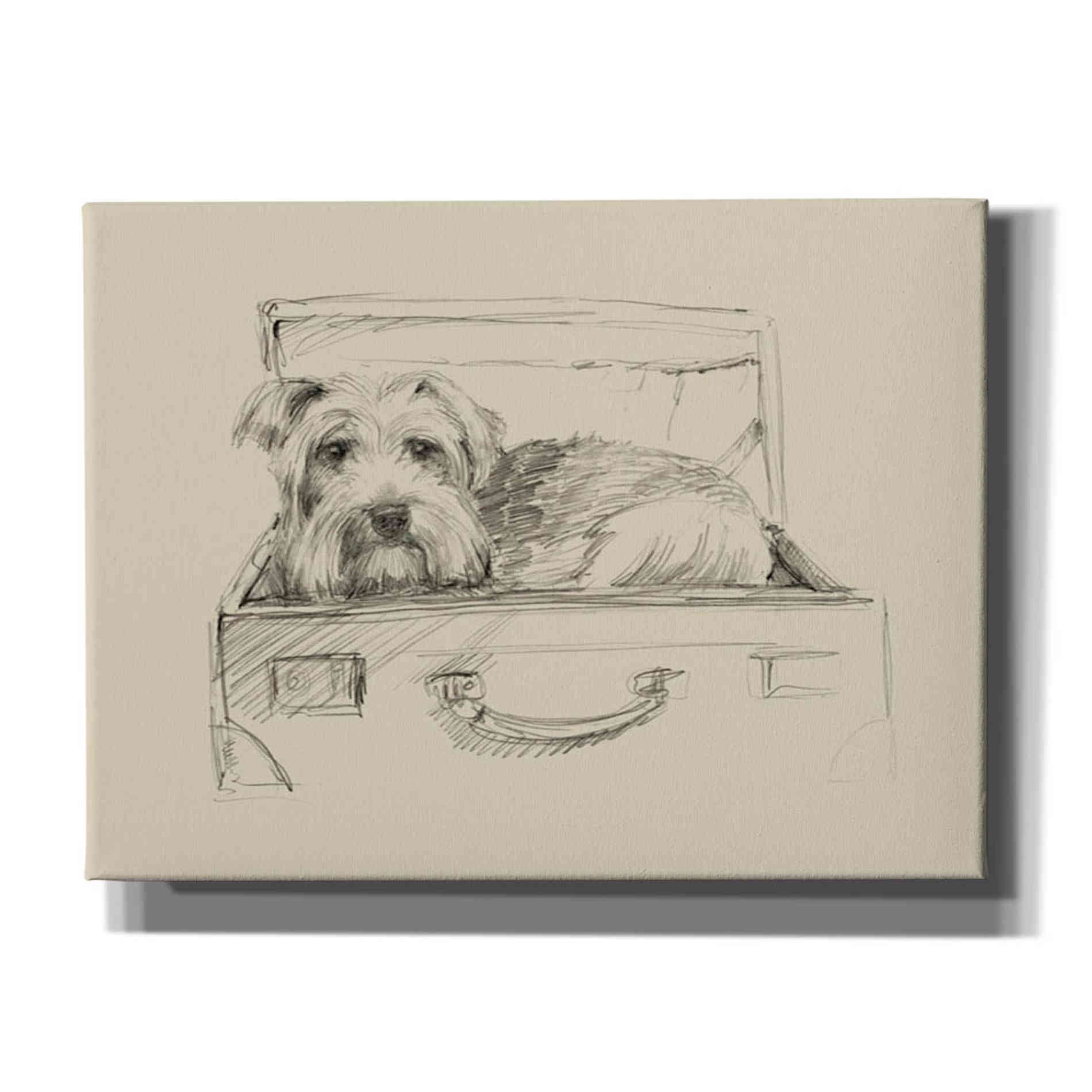 'Stowaway I' by Ethan Harper Canvas Wall Art,Size B Landscape