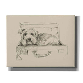 'Stowaway I' by Ethan Harper Canvas Wall Art,Size B Landscape