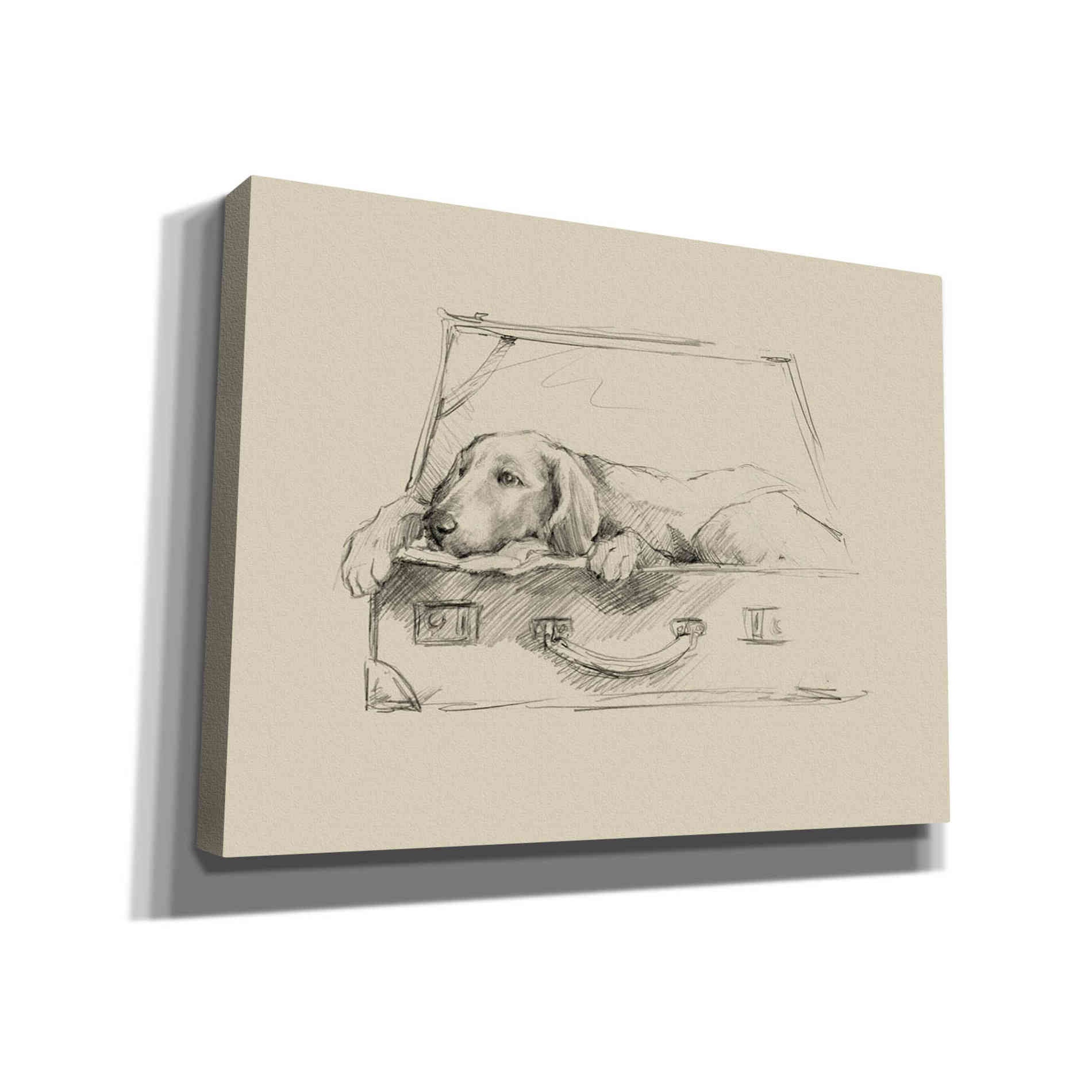 'Stowaway III' by Ethan Harper Canvas Wall Art,Size B Landscape