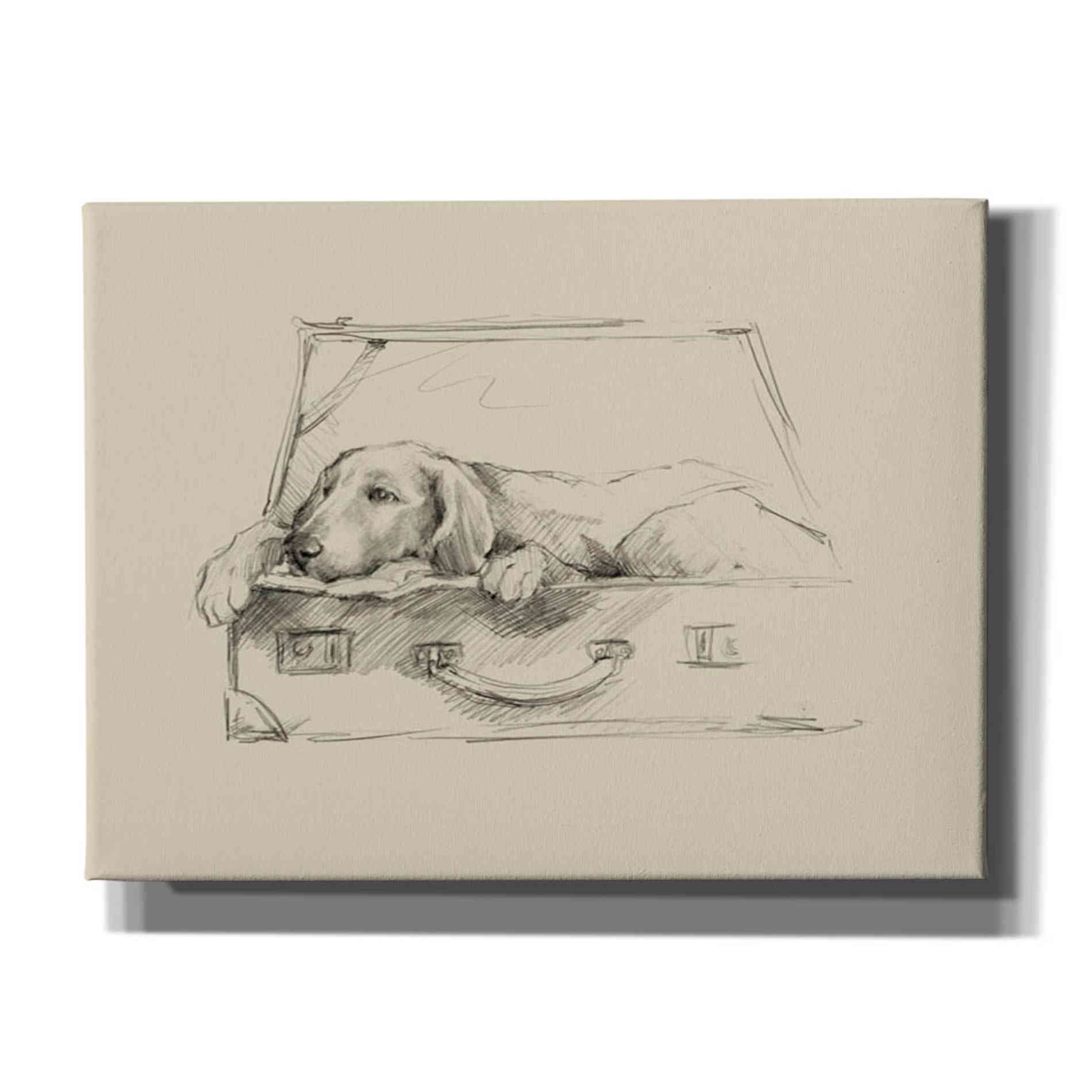 'Stowaway III' by Ethan Harper Canvas Wall Art,Size B Landscape