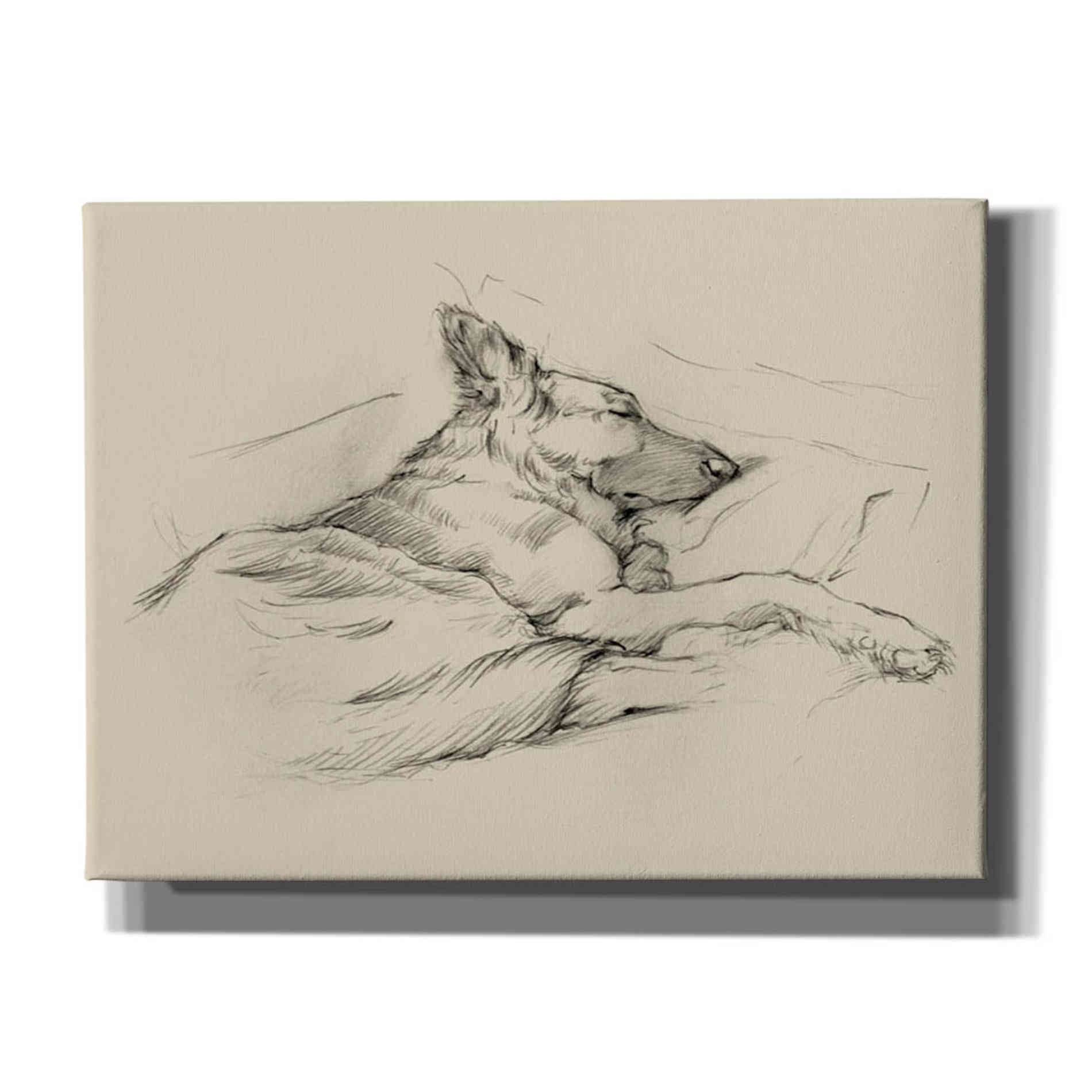 'Dog Days IV' by Ethan Harper Canvas Wall Art,Size B Landscape