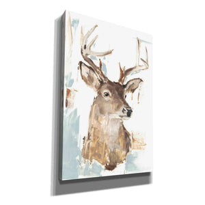 'Modern Deer Mount I' by Ethan Harper Canvas Wall Art,Size A Portrait