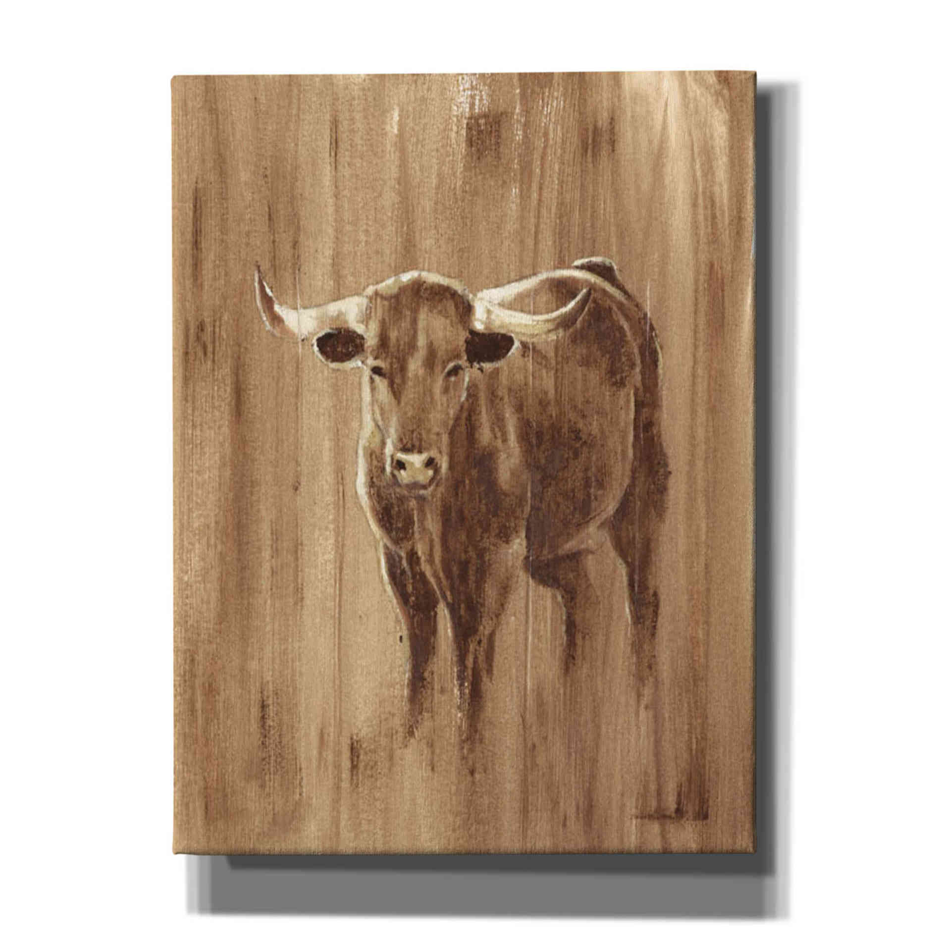 'Wood Panel Longhorn' by Ethan Harper Canvas Wall Art,Size C Portrait
