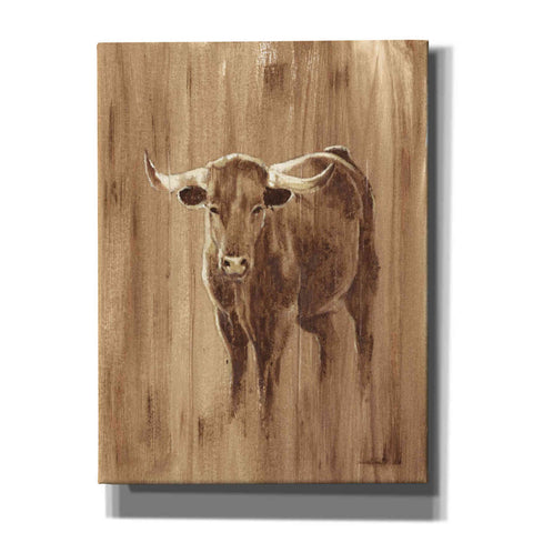 Image of 'Wood Panel Longhorn' by Ethan Harper Canvas Wall Art,Size C Portrait