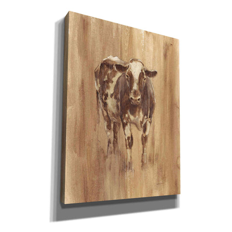 Image of 'Wood Panel Cow' by Ethan Harper Canvas Wall Art,Size C Portrait