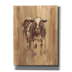 'Wood Panel Cow' by Ethan Harper Canvas Wall Art,Size C Portrait