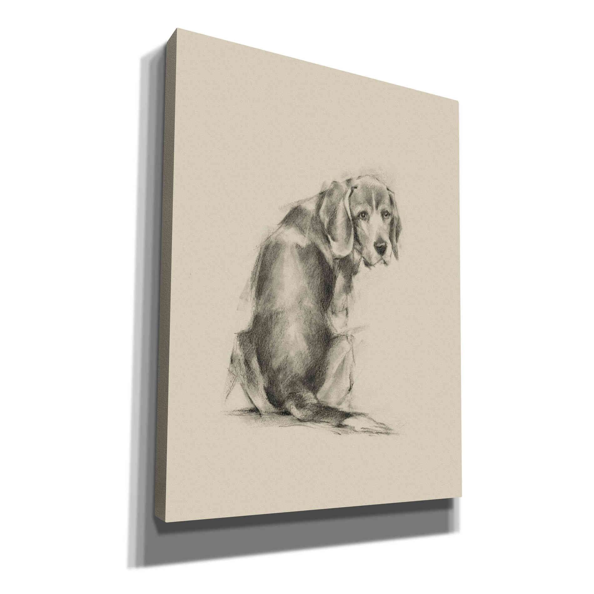 'Puppy Dog Eyes I' by Ethan Harper Canvas Wall Art,Size C Portrait