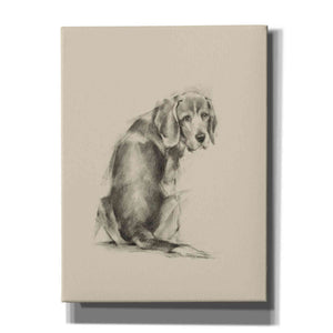 'Puppy Dog Eyes I' by Ethan Harper Canvas Wall Art,Size C Portrait