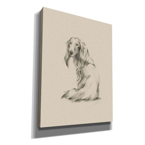 Image of 'Puppy Dog Eyes II' by Ethan Harper Canvas Wall Art,Size C Portrait
