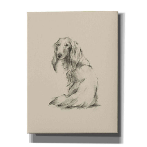 Image of 'Puppy Dog Eyes II' by Ethan Harper Canvas Wall Art,Size C Portrait