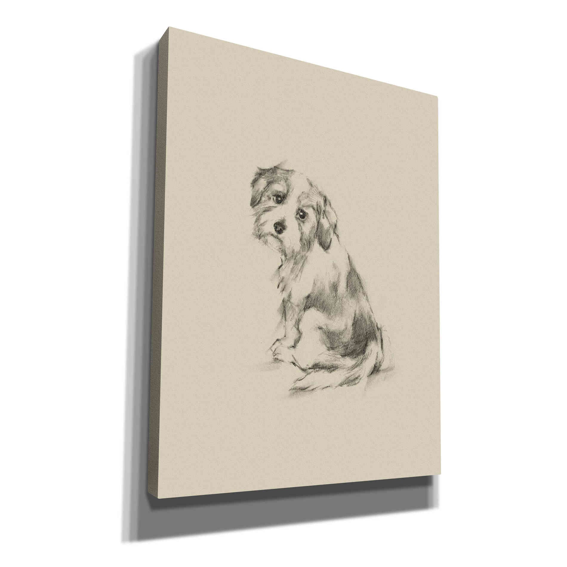 'Puppy Dog Eyes III' by Ethan Harper Canvas Wall Art,Size C Portrait