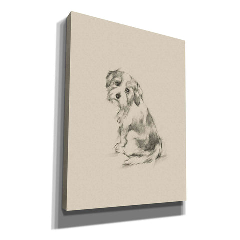Image of 'Puppy Dog Eyes III' by Ethan Harper Canvas Wall Art,Size C Portrait