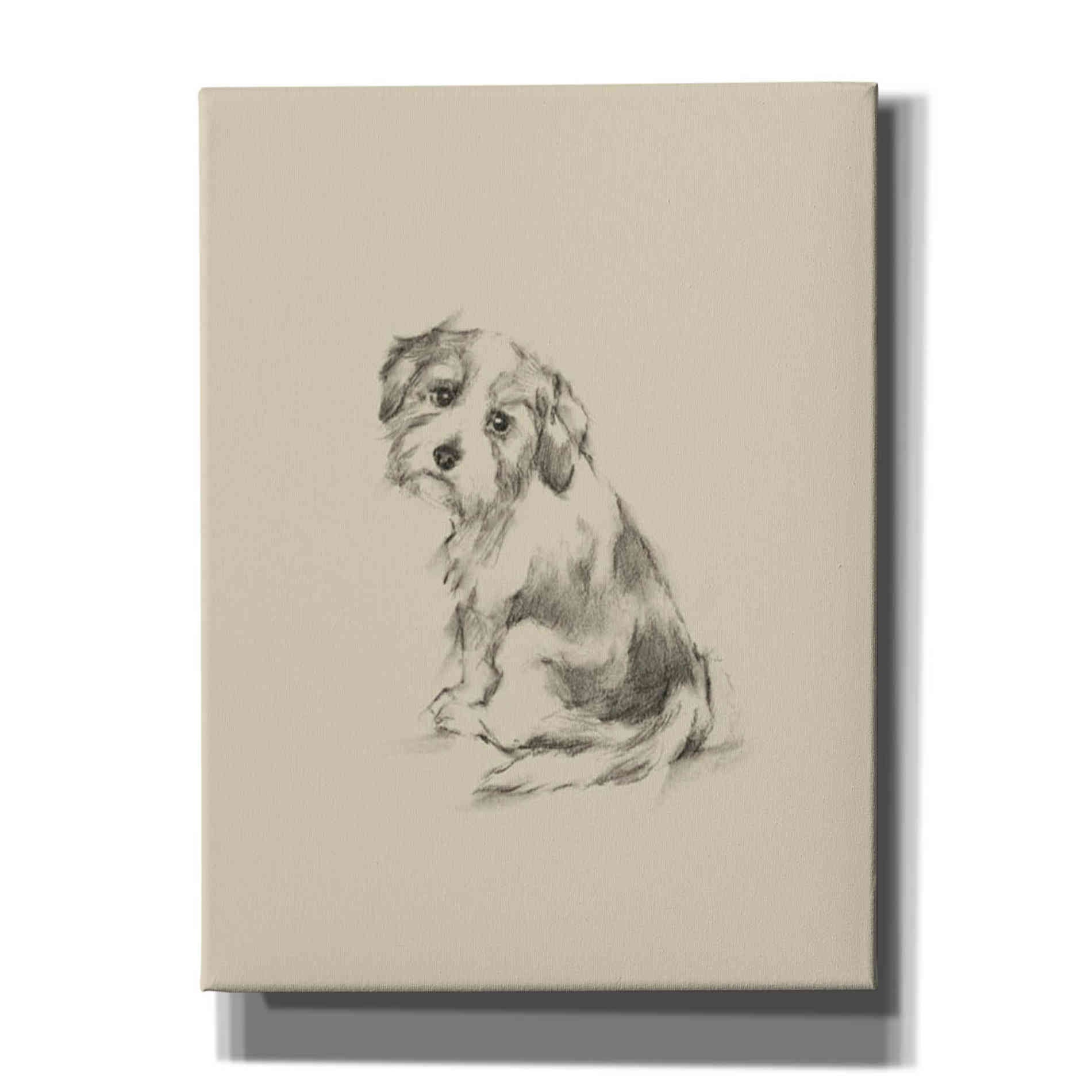 'Puppy Dog Eyes III' by Ethan Harper Canvas Wall Art,Size C Portrait