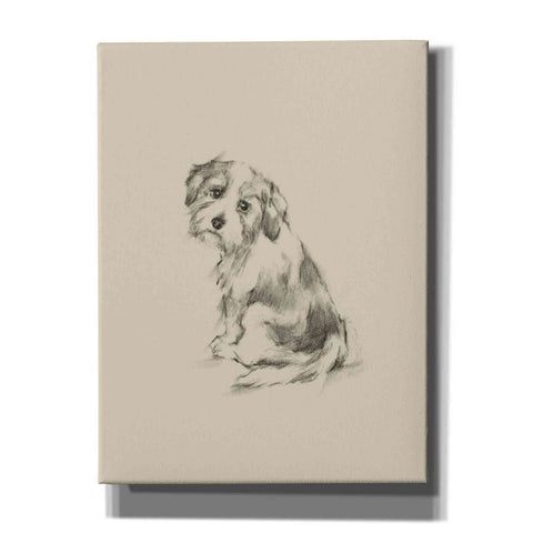 Image of 'Puppy Dog Eyes III' by Ethan Harper Canvas Wall Art,Size C Portrait