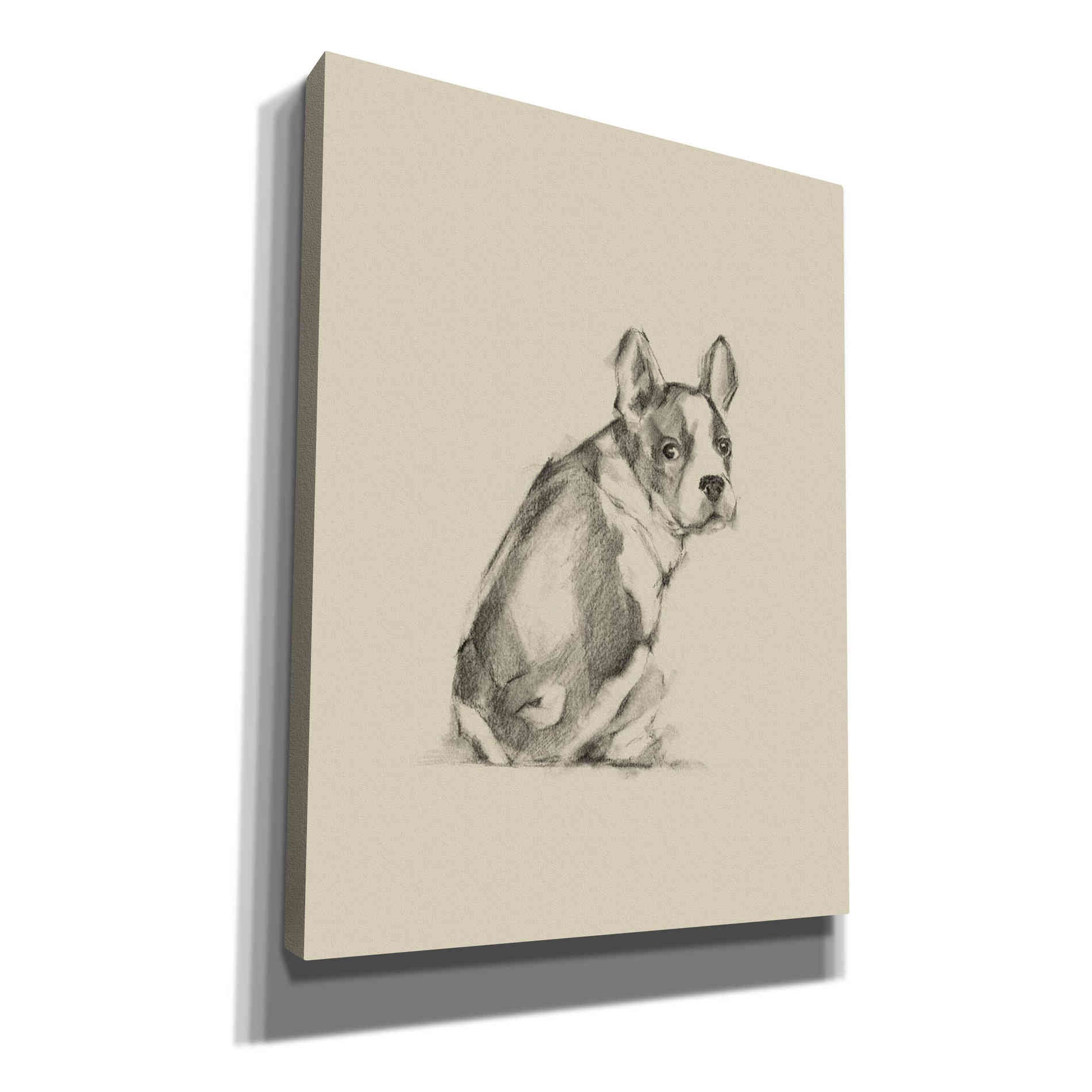 'Puppy Dog Eyes IV' by Ethan Harper Canvas Wall Art,Size C Portrait