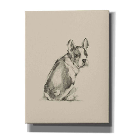 Image of 'Puppy Dog Eyes IV' by Ethan Harper Canvas Wall Art,Size C Portrait